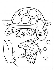 Turtle coloring pages for children