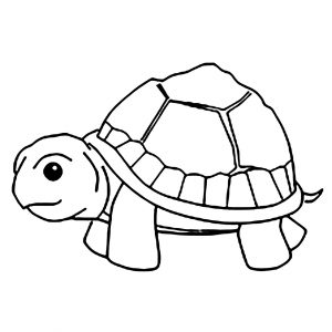 mud turtle coloring pages