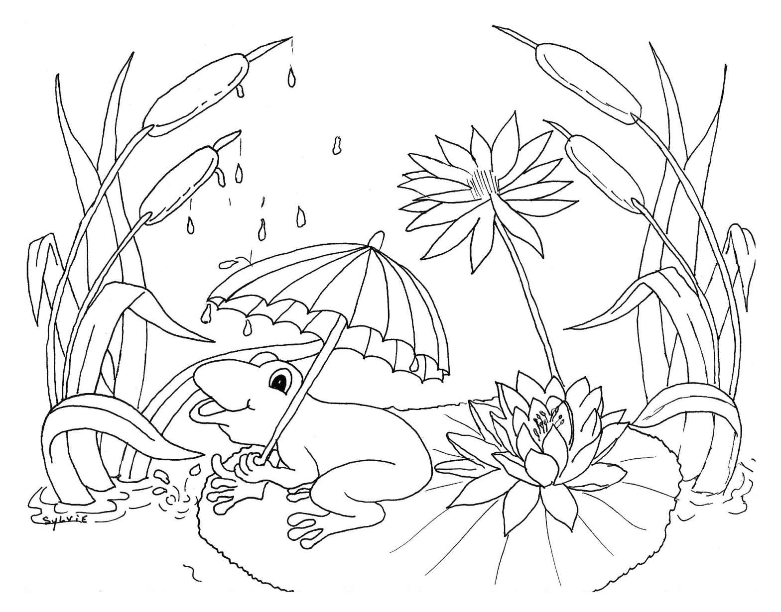 frog-and-rain-weather-kids-coloring-pages