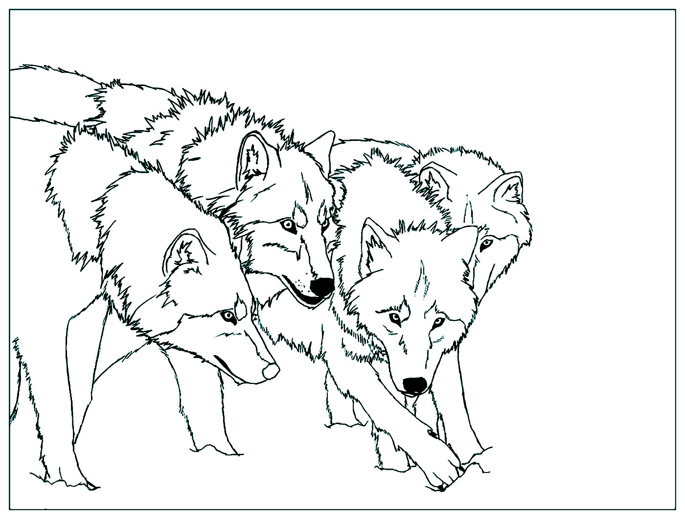 Anime Wolf Pack – Fun Wolf Facts
