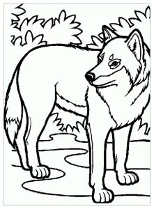 wolf free printable coloring pages for kids