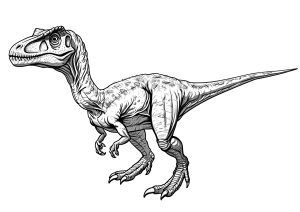 Ausmalbild von zum Ausdrucken und Ausmalen für Kinder : Velociraptor