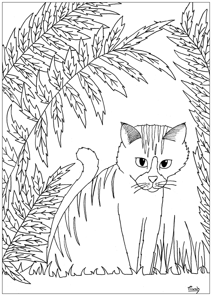 Desenhos simples para crianças para colorir de Gatos - Gatos - Coloring  Pages for Adults