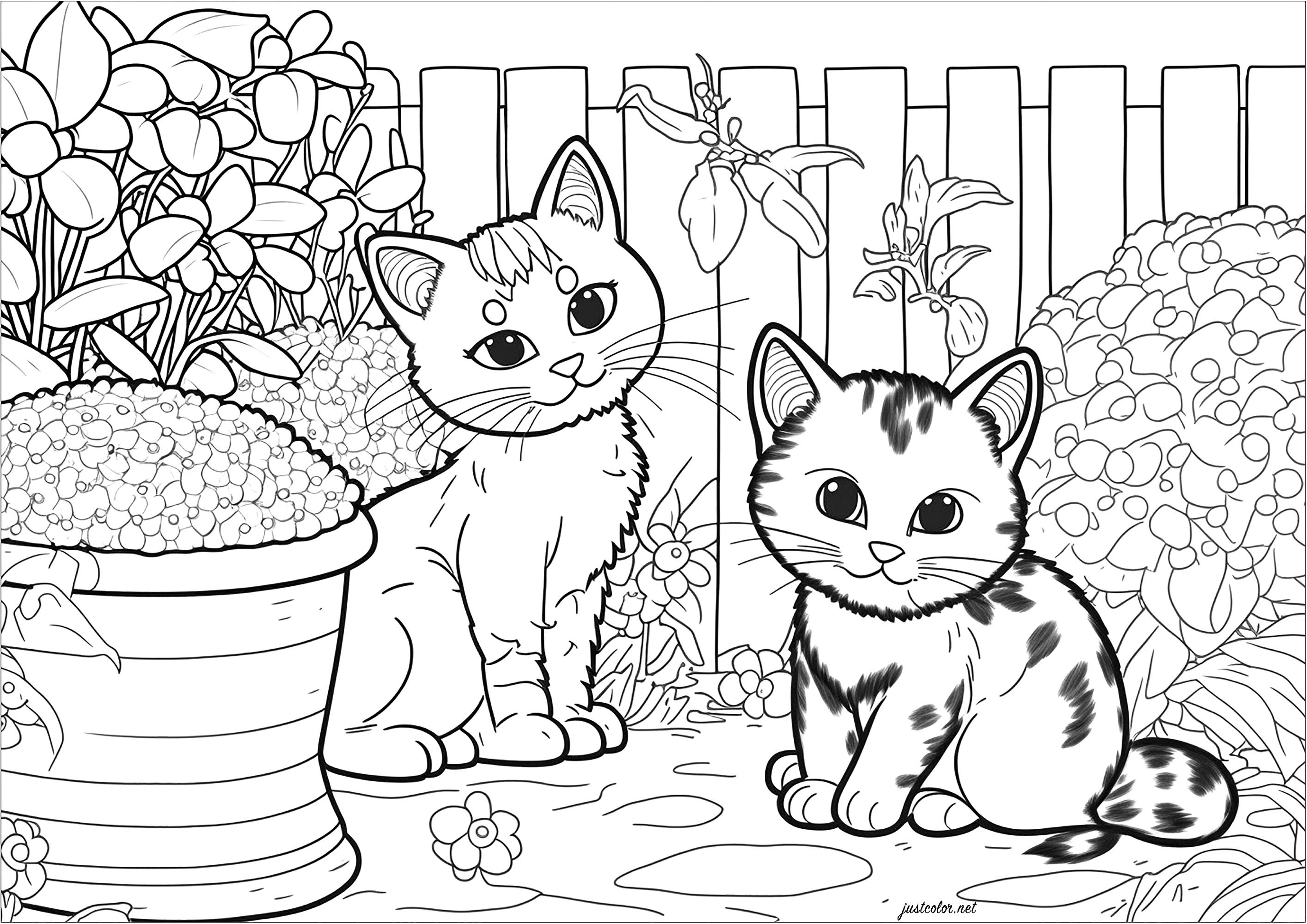 Dois pequenos gatos no jardim - Gatos - Coloring Pages for Adults