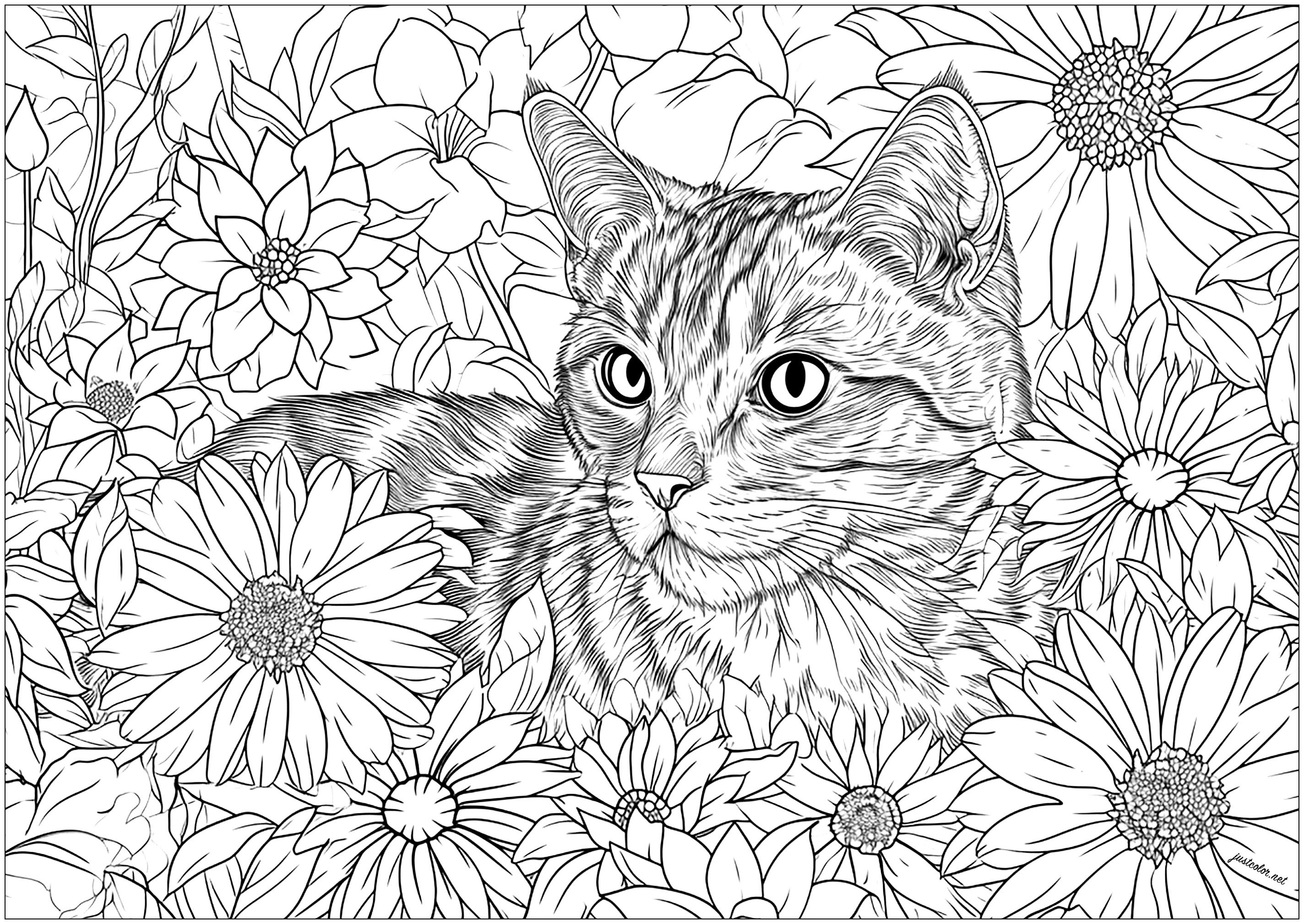 Um gato bonito e realista, com muitas flores para colorir. - Gatos ...