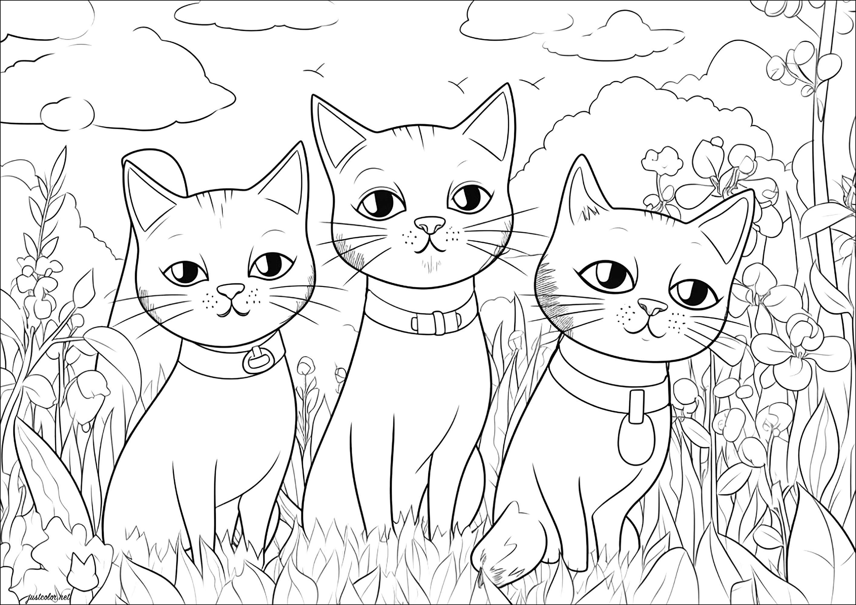 Dois pequenos gatos no jardim - Gatos - Coloring Pages for Adults