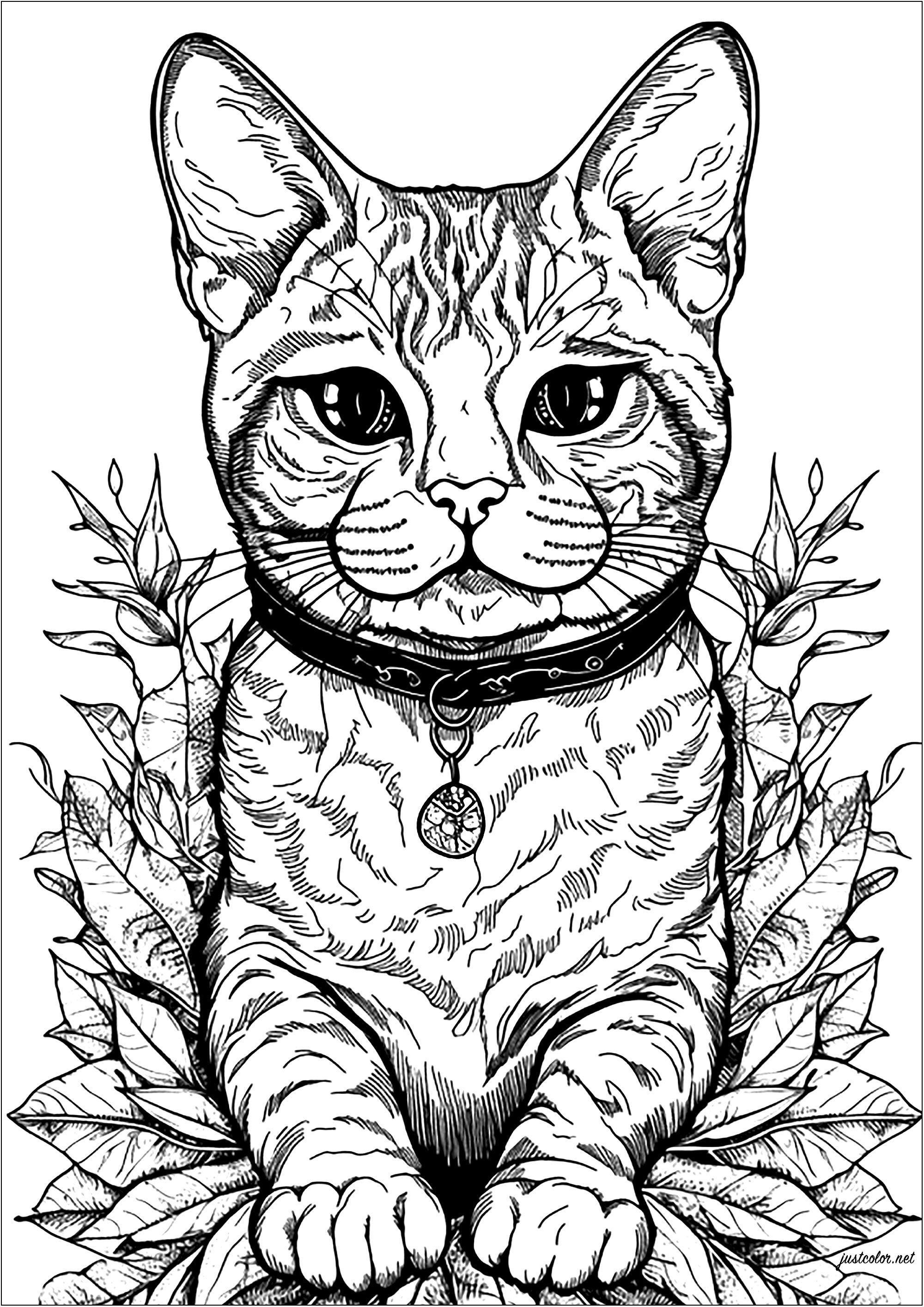Desenhos simples para colorir gratuitos de Gatos para baixar - Gatos -  Coloring Pages for Adults