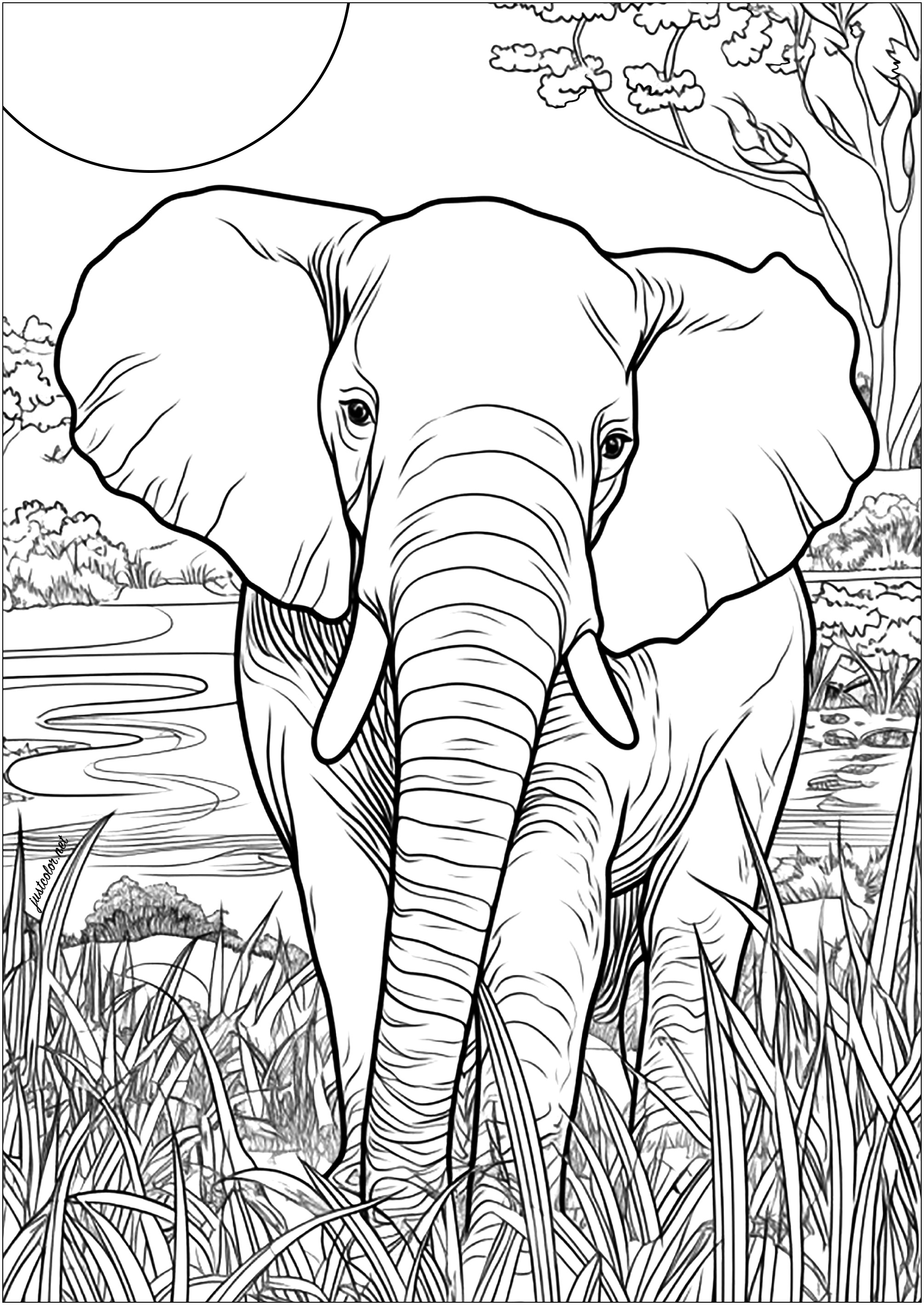 Desenhos para colorir – Elefante