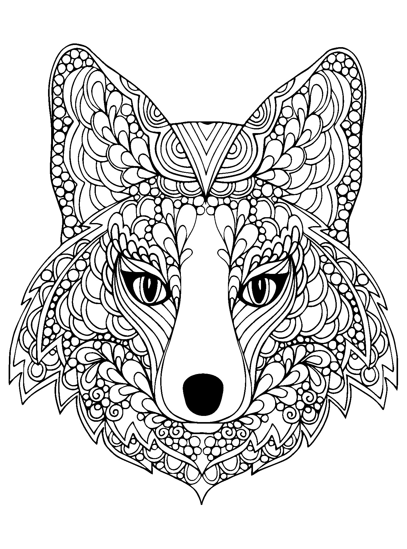 Raposas para colorir - Desenhos Imprimir