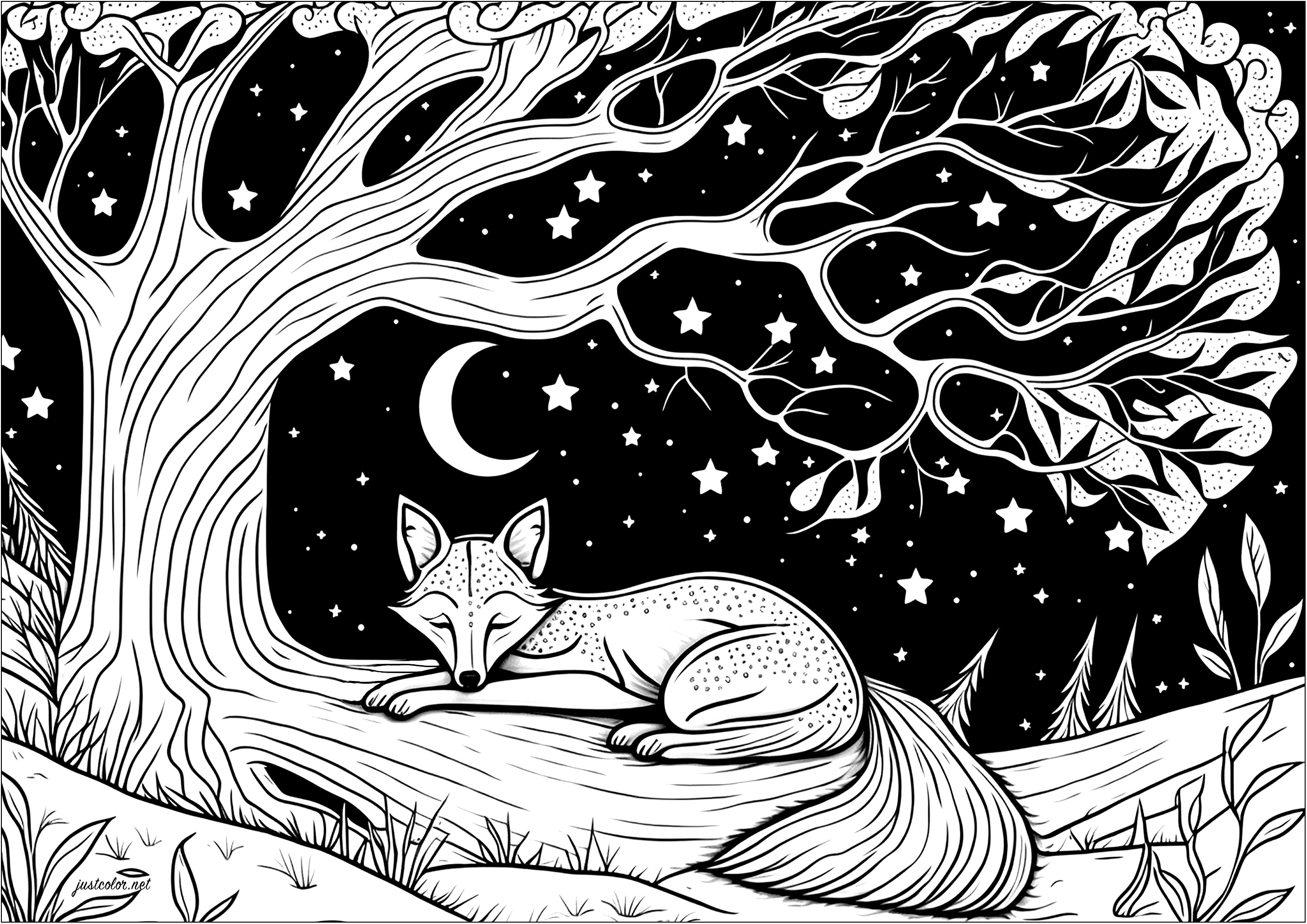 Raposa a dormir num ramo de árvore - Raposas - Coloring Pages for
