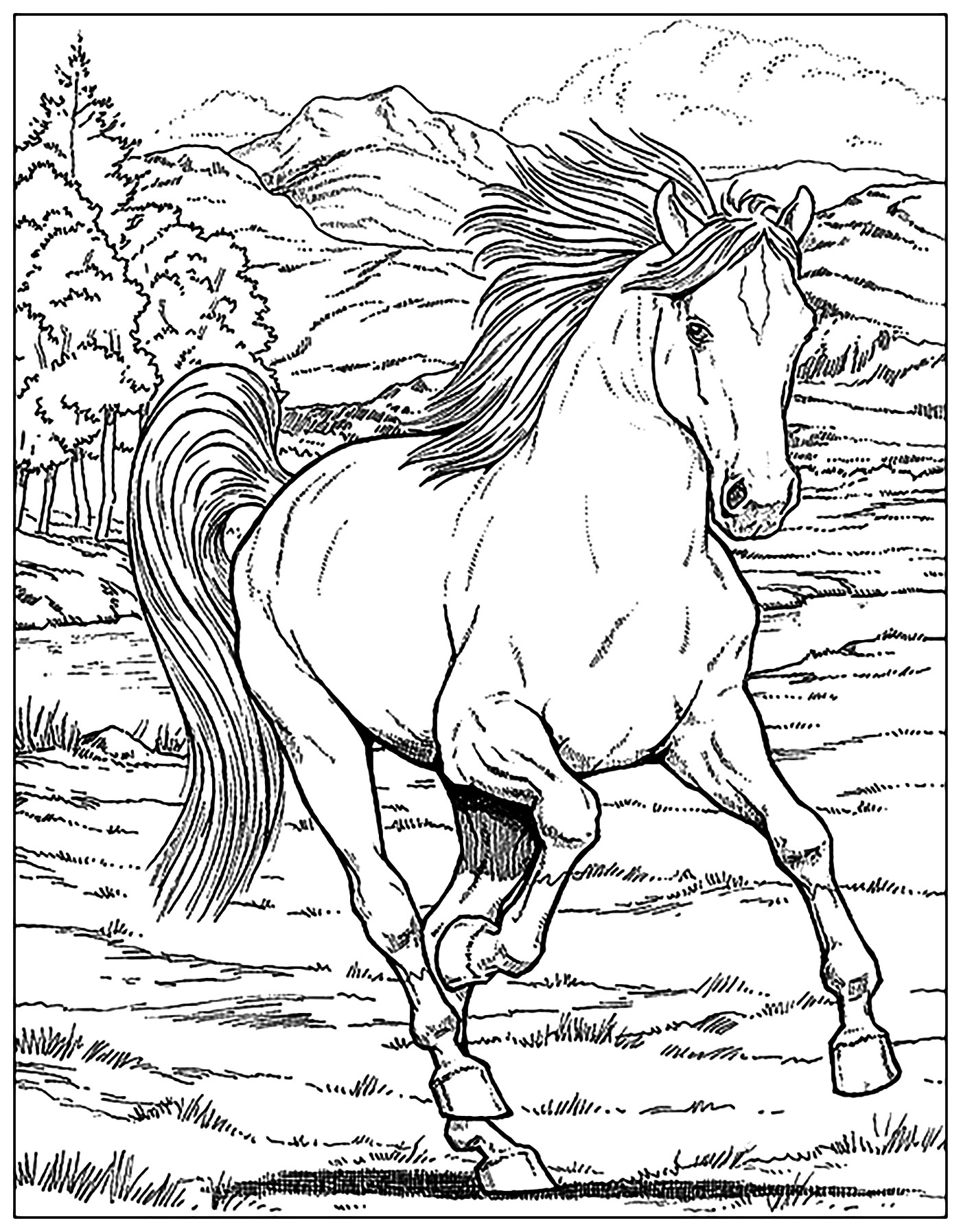 Desenhos para colorir para crianças de Cavalos - Cavalos - Coloring