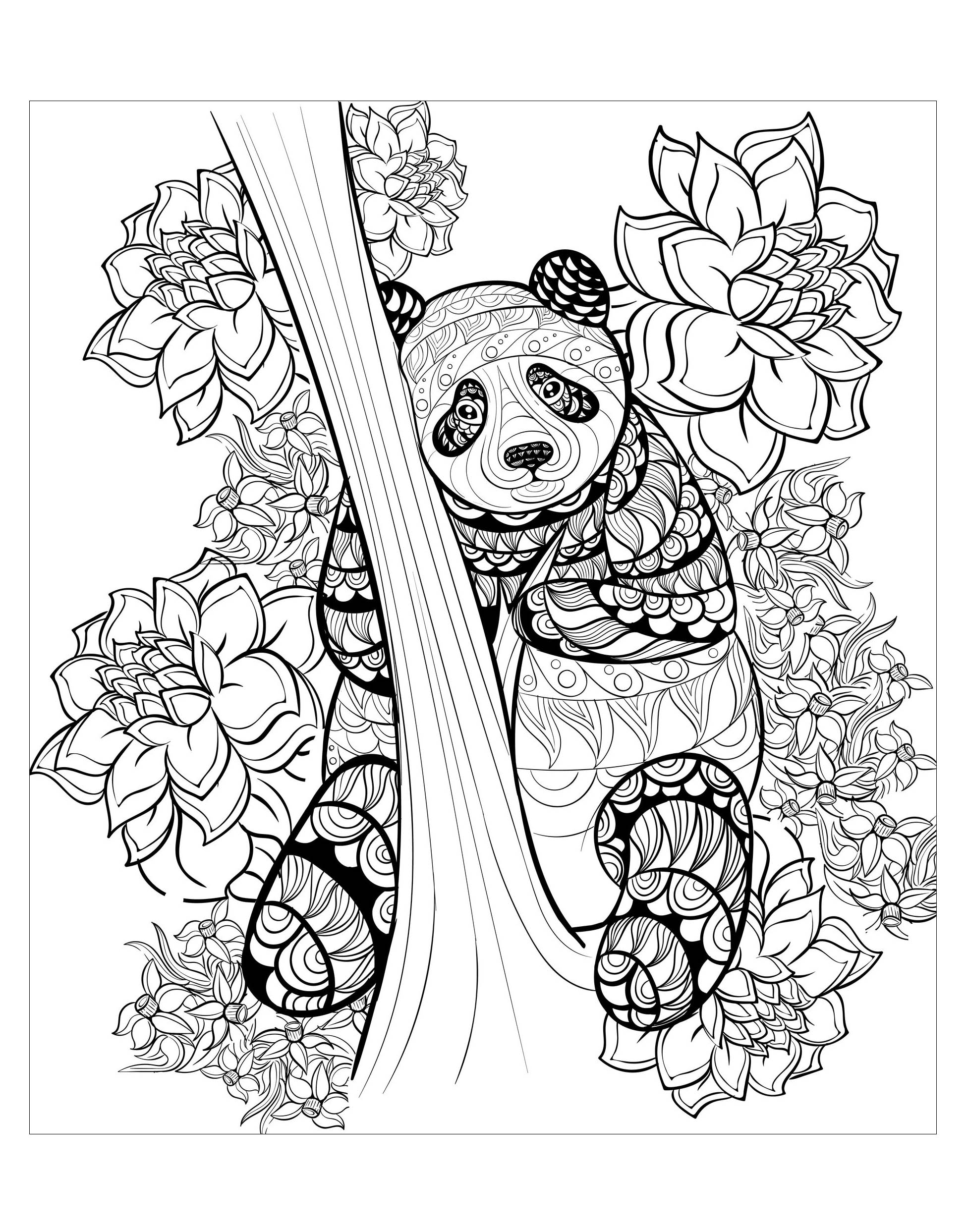 Resultado de imagem para desenhos para colorir de panda
