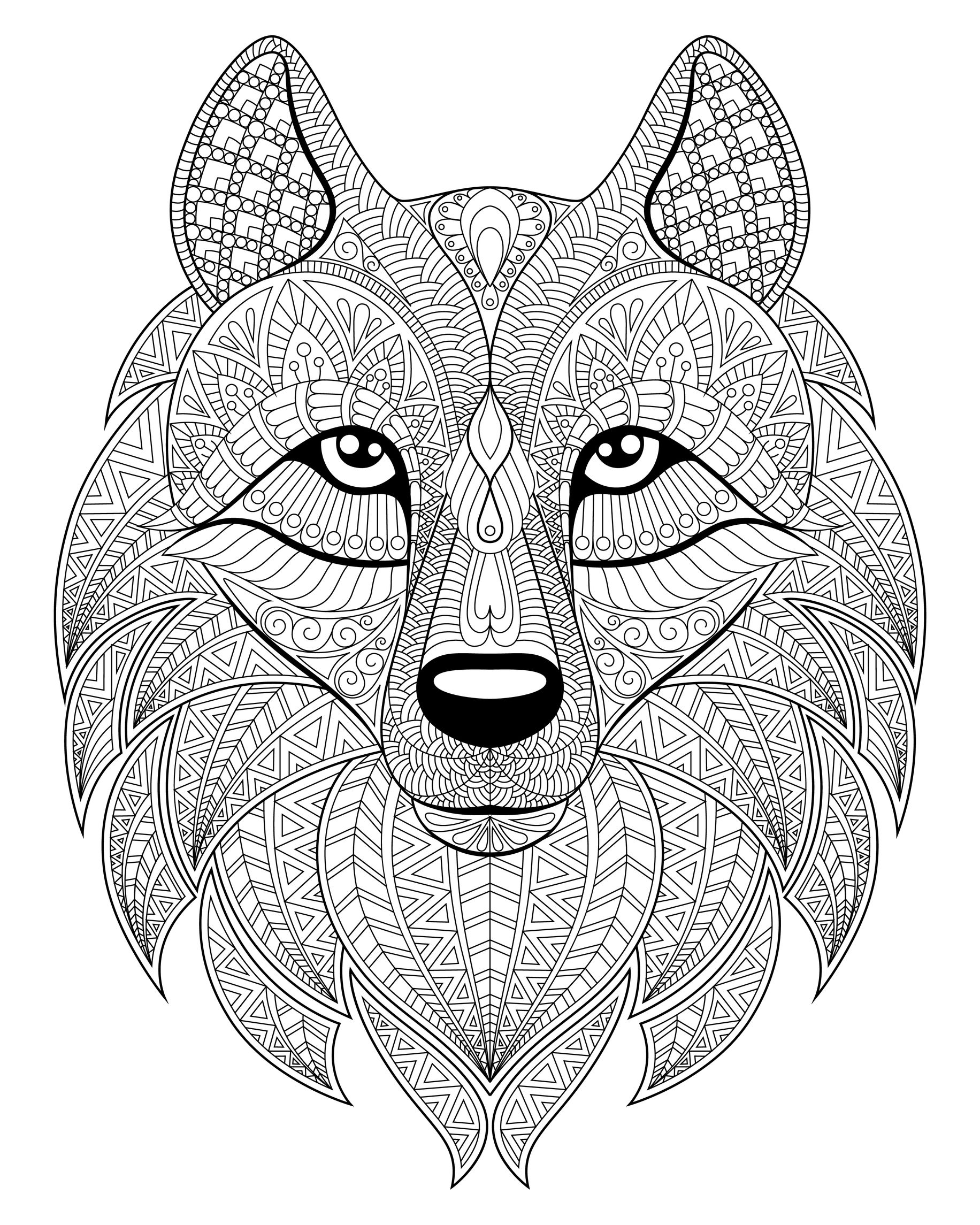 Desenhos de Wolfoo para Colorir
