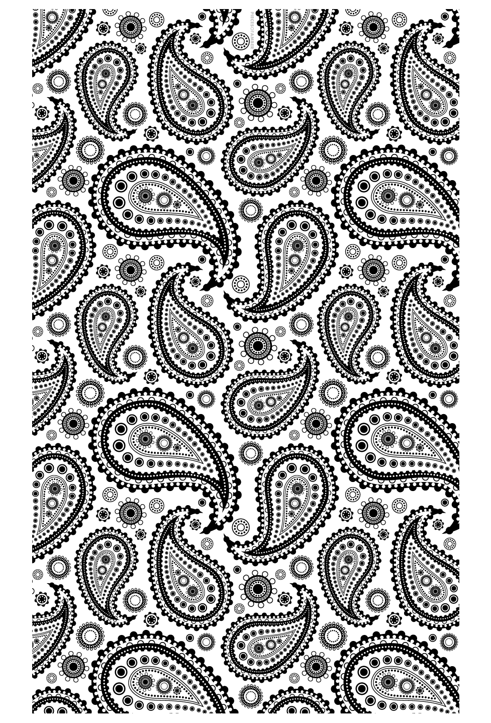 Various Paisley patterns - Oriental Adult Coloring Pages