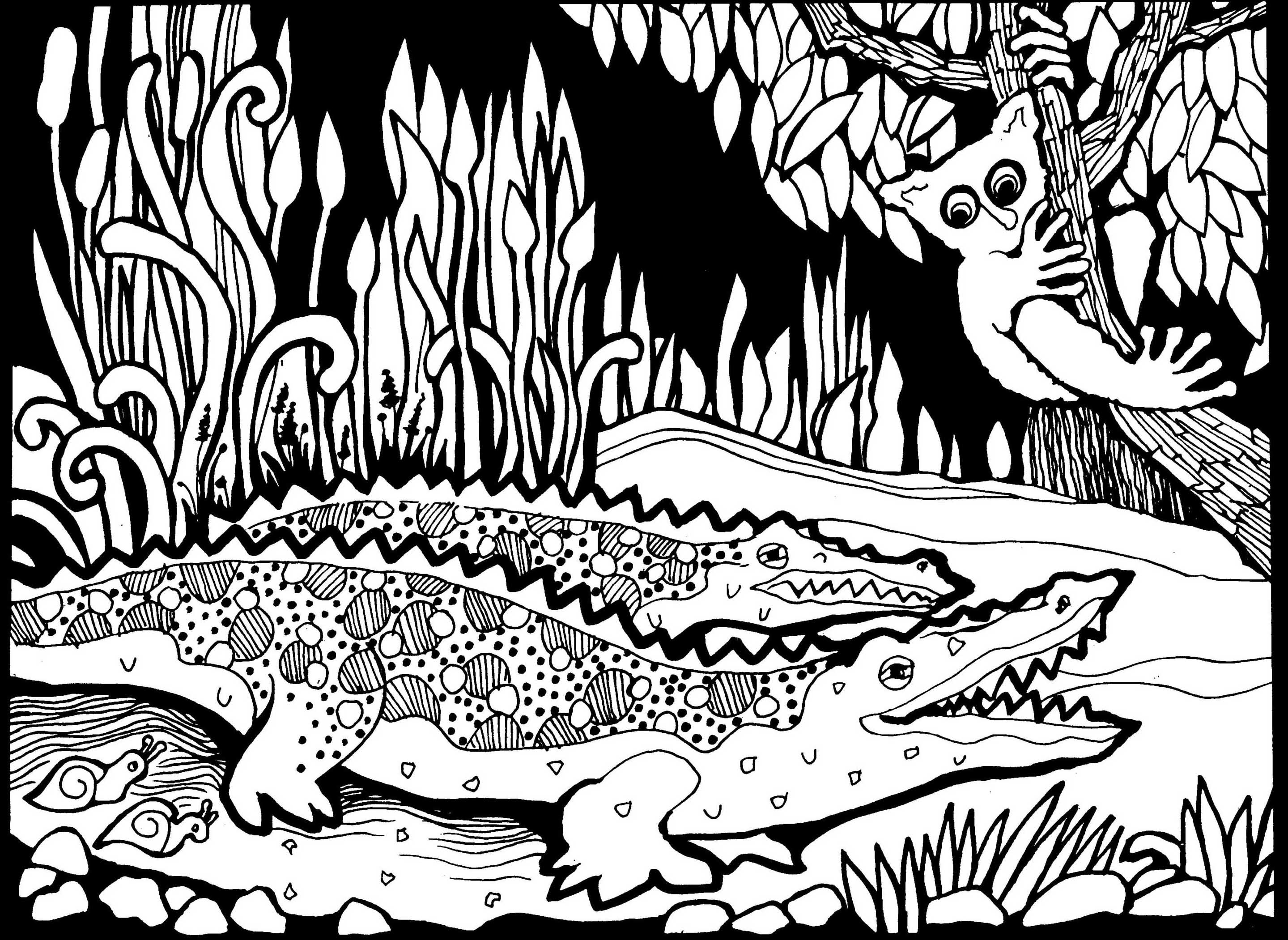 Africa crocodiles  Africa Adult Coloring Pages