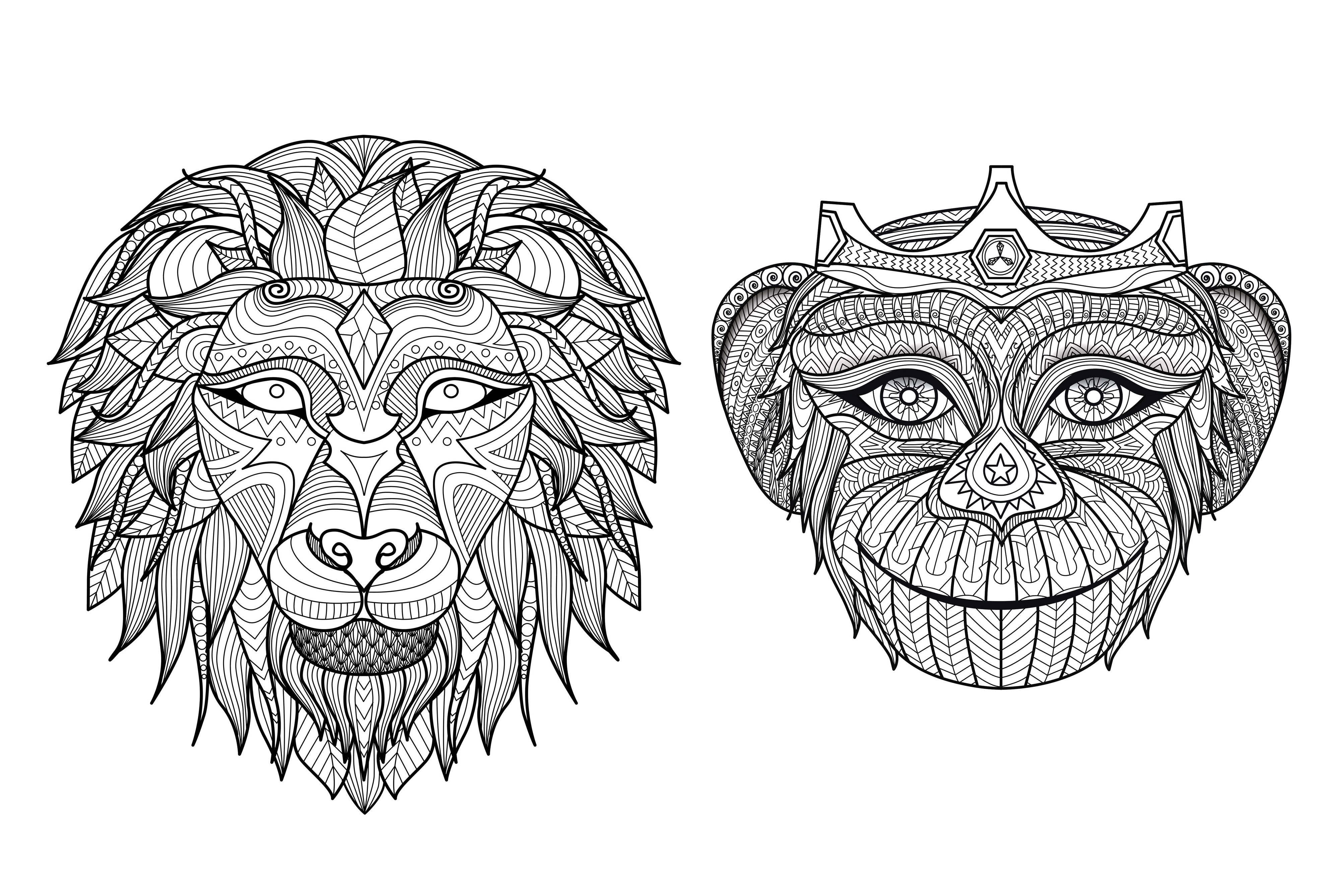 Coloring page of the head of two animals from Africa : A Lion and a Monkey !, Artist : Bimdeedee
