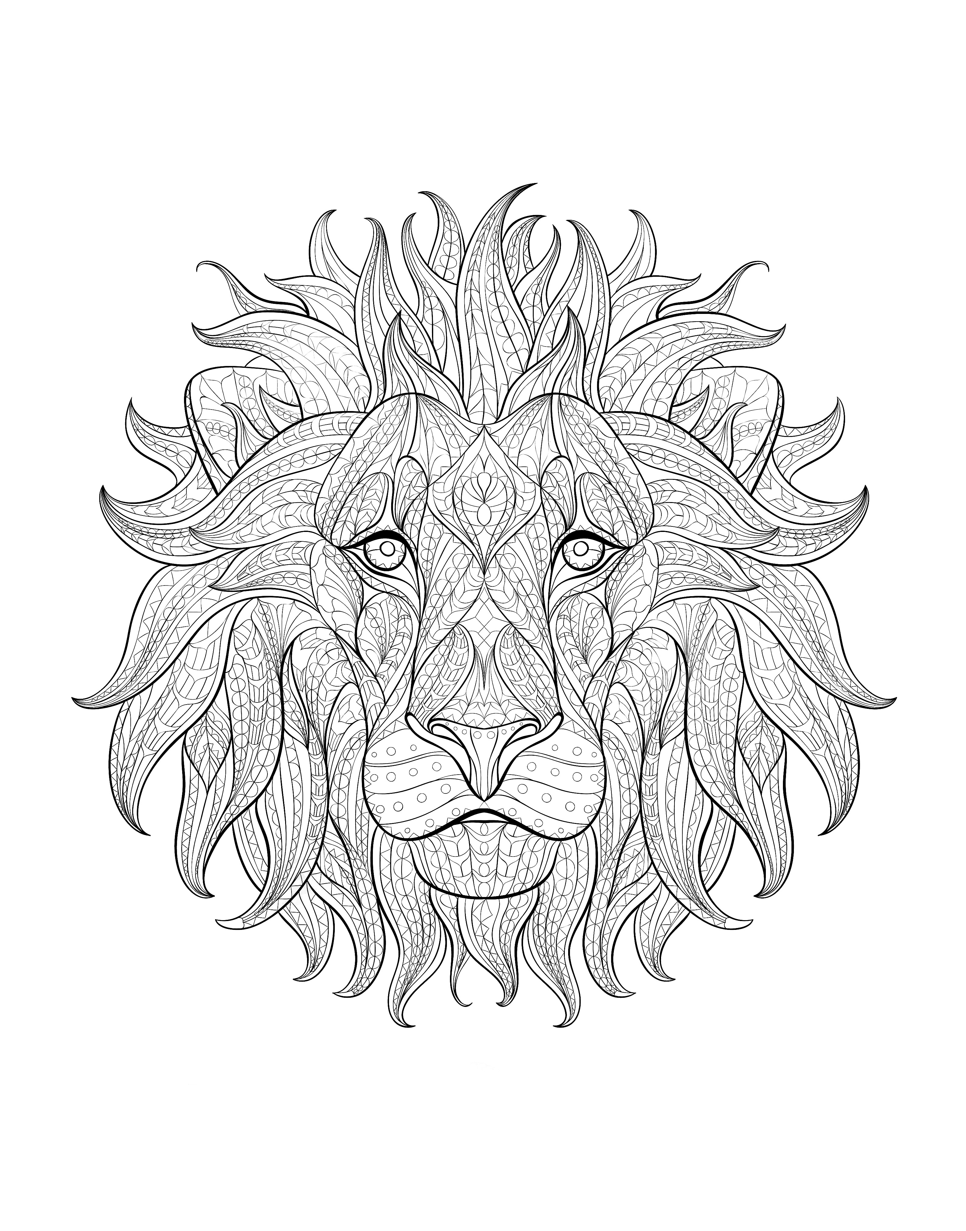 Impressive Lion head, the king of animals .., Artist : maverickinfanta