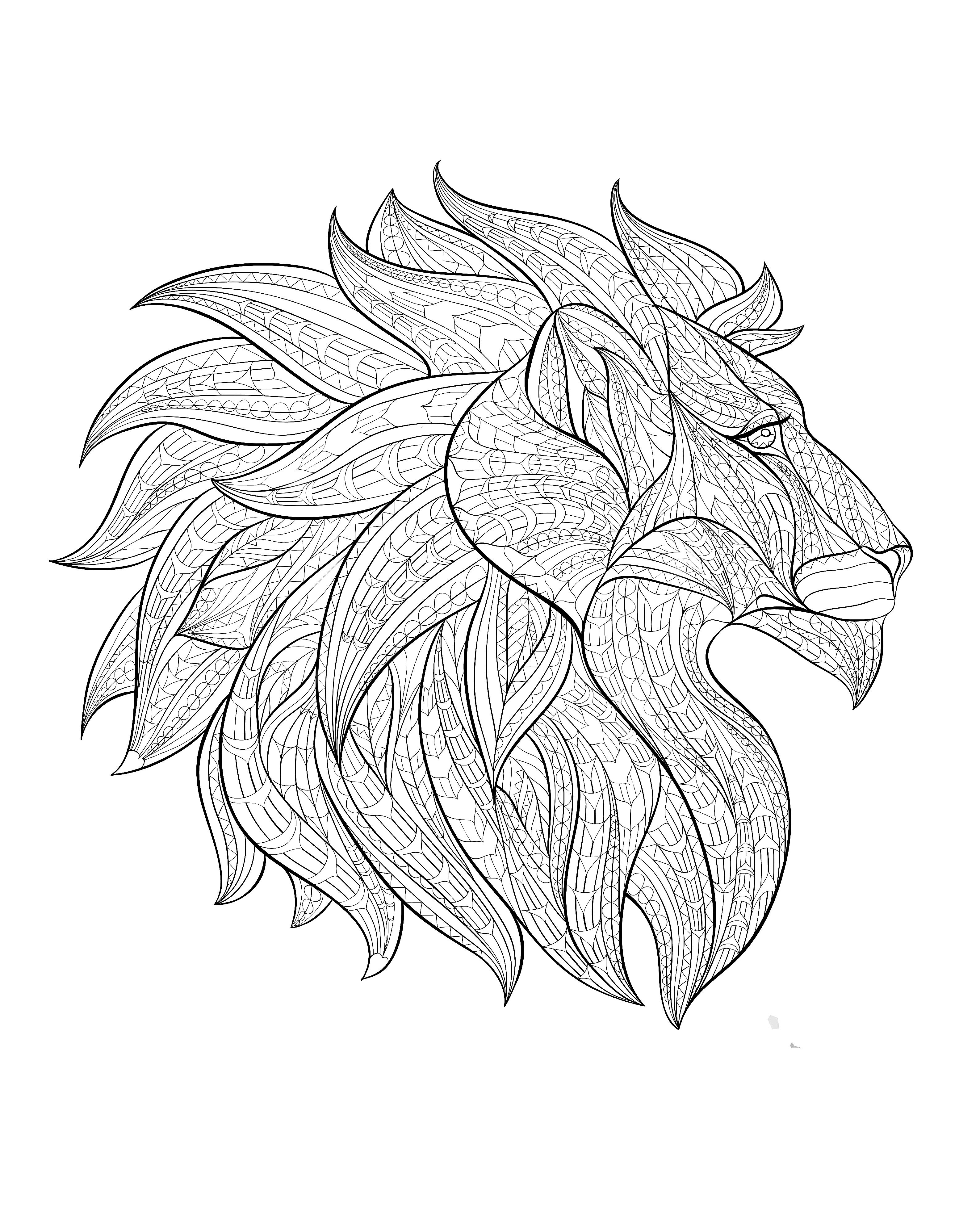 Lion head drawing, from profile, Artist : maverickinfanta