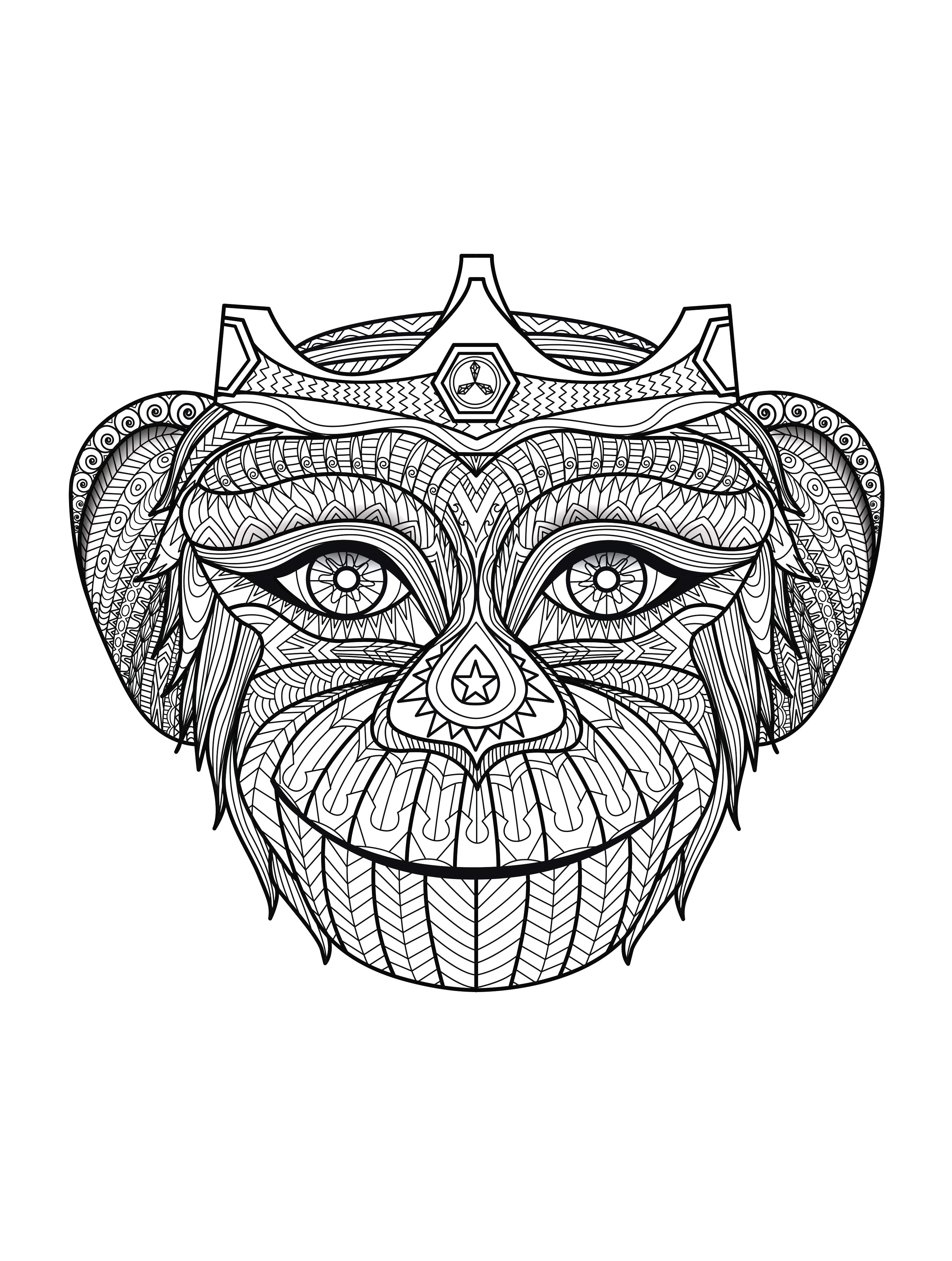 Download Africa monkey head - Africa Adult Coloring Pages