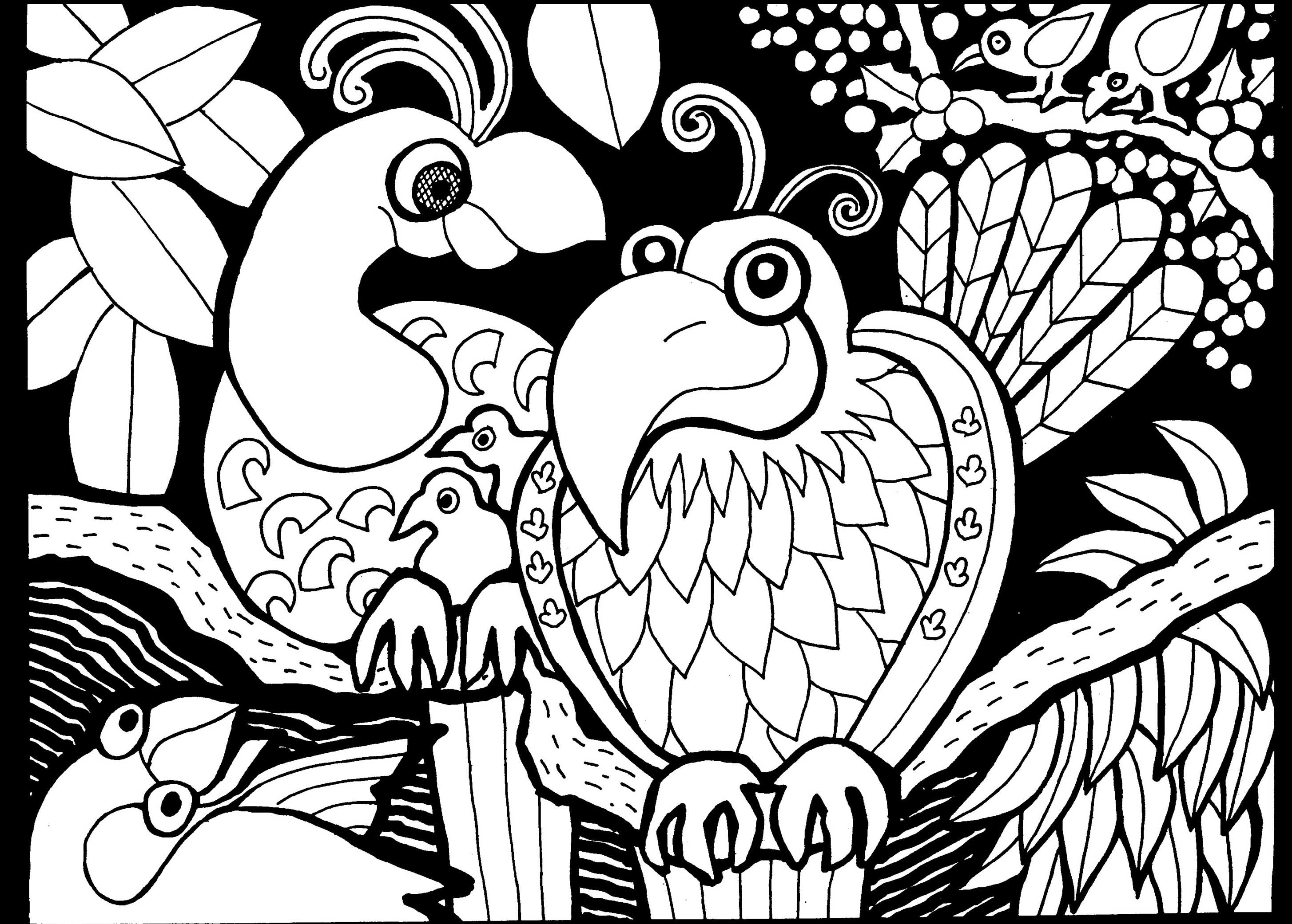 Download Africa parrots - Africa Adult Coloring Pages