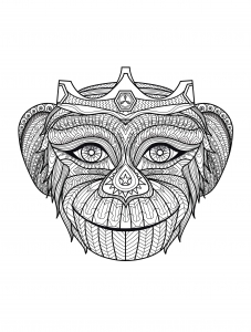 Coloring adult africa monkey head
