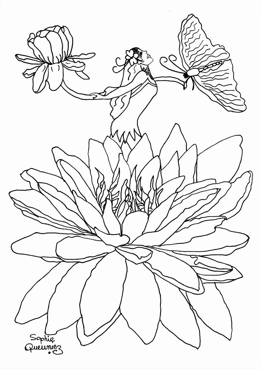 Download Fairy - Coloring Pages for Adults