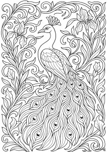 Majestic peacock in an Art Nouveau frame