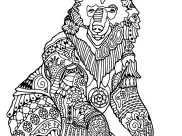 animal coloring pages for adults