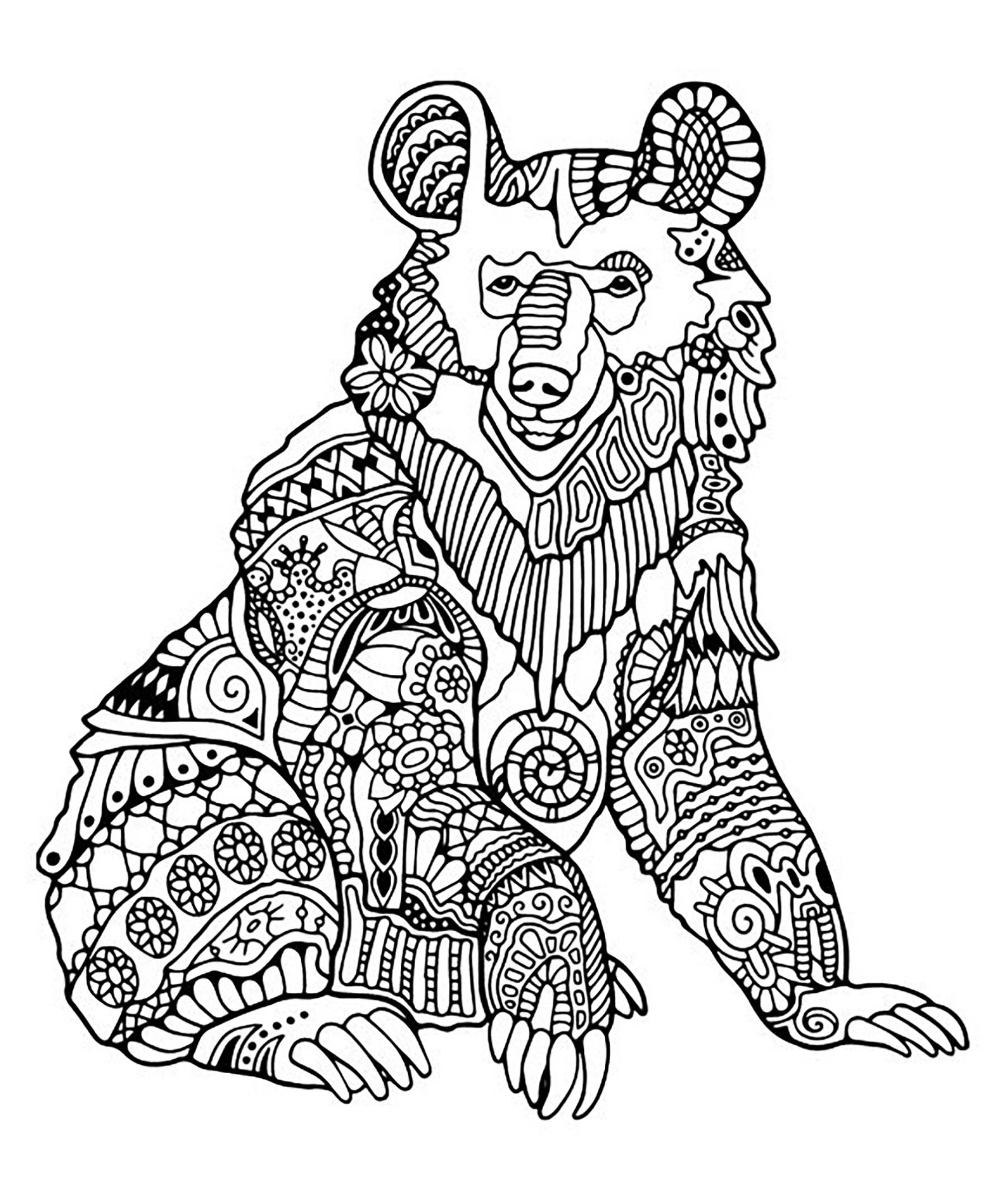 An Adult Coloring Pages Bear With Designs On It Outline Sketch