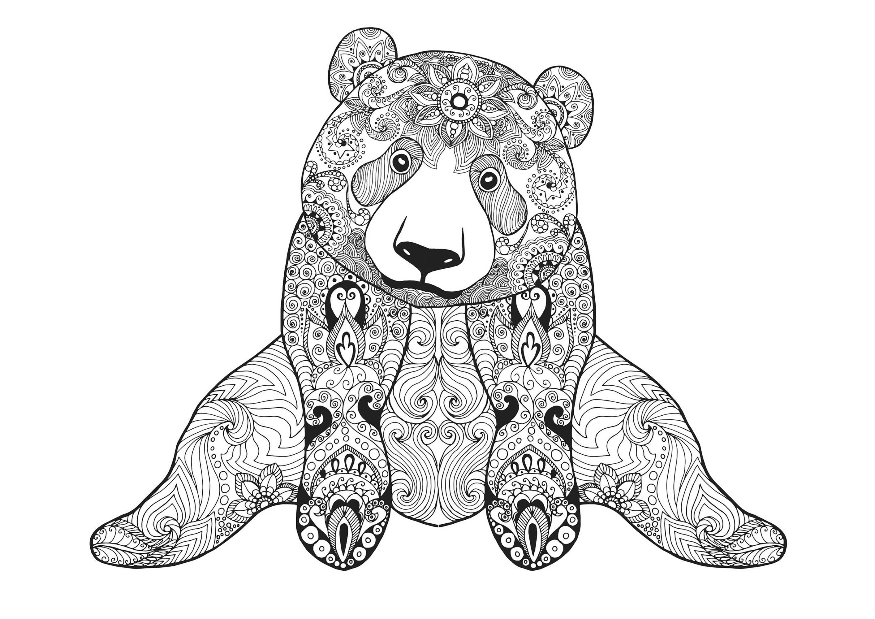 Download Sitting bear - Bears Adult Coloring Pages