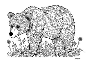 Adult Coloring Pages, Free Coloring Pages