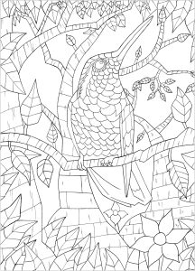 Printable Coloring Page for adult : Bird on branch