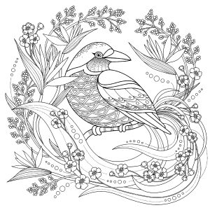 Printable Coloring Page for adult : Bird-with-floral-elements