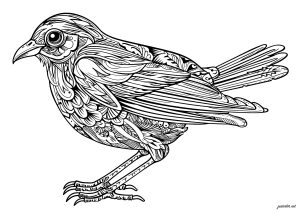 Printable Coloring Page for adult : Bird with regular, intricate patterns