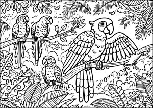 Printable Coloring Page for adults : Parrots perched in the tropical jungle