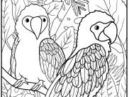Birds Coloring Pages for Adults
