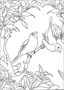 Printable Coloring Page for adult : Two little birds