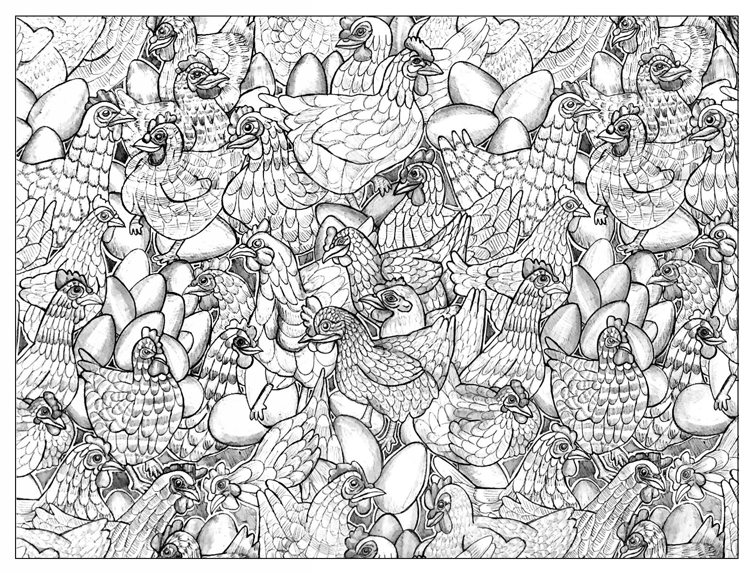 Download Chicken 2 - Birds Adult Coloring Pages