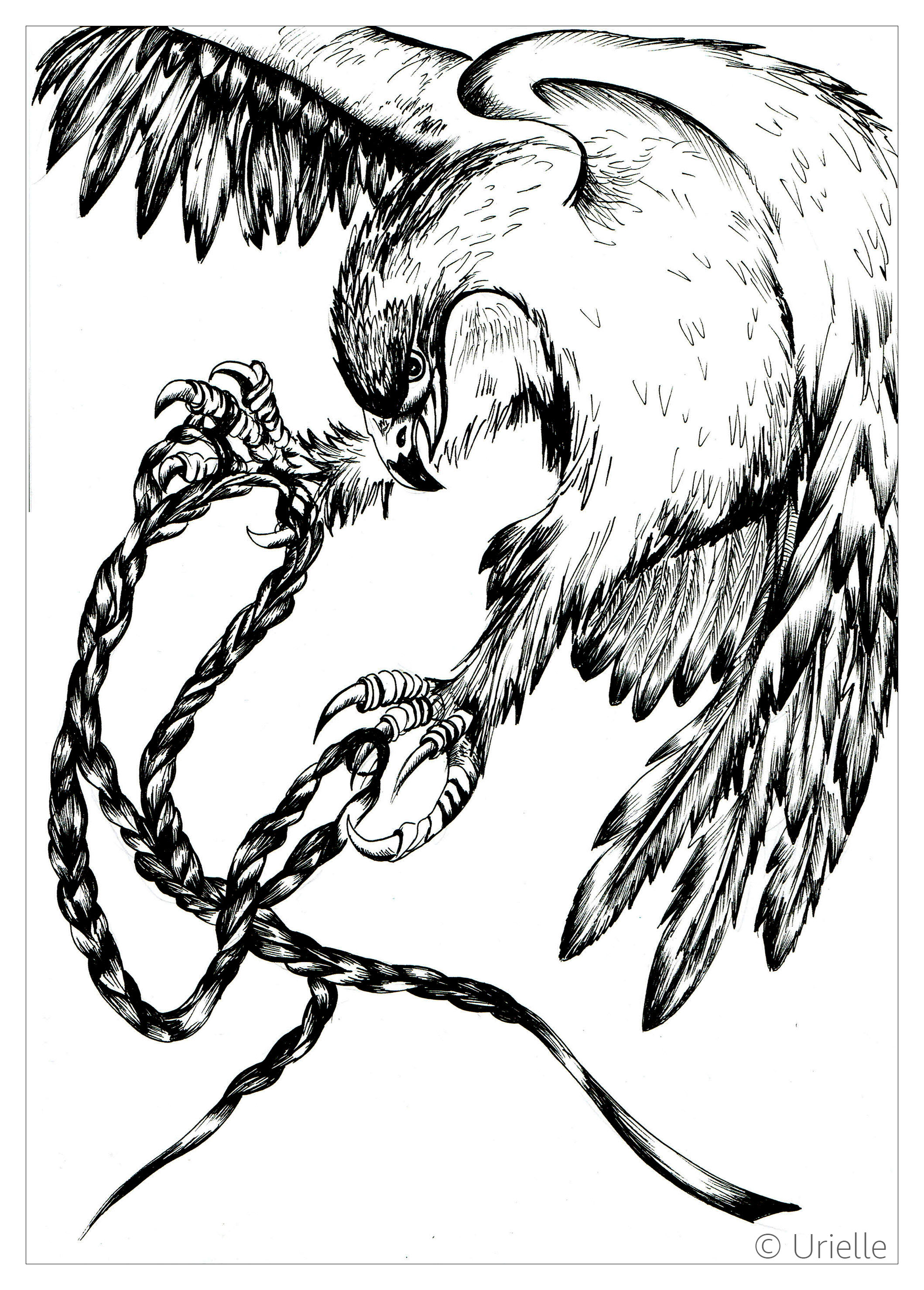 Eagle on the move, Artist : Urielle