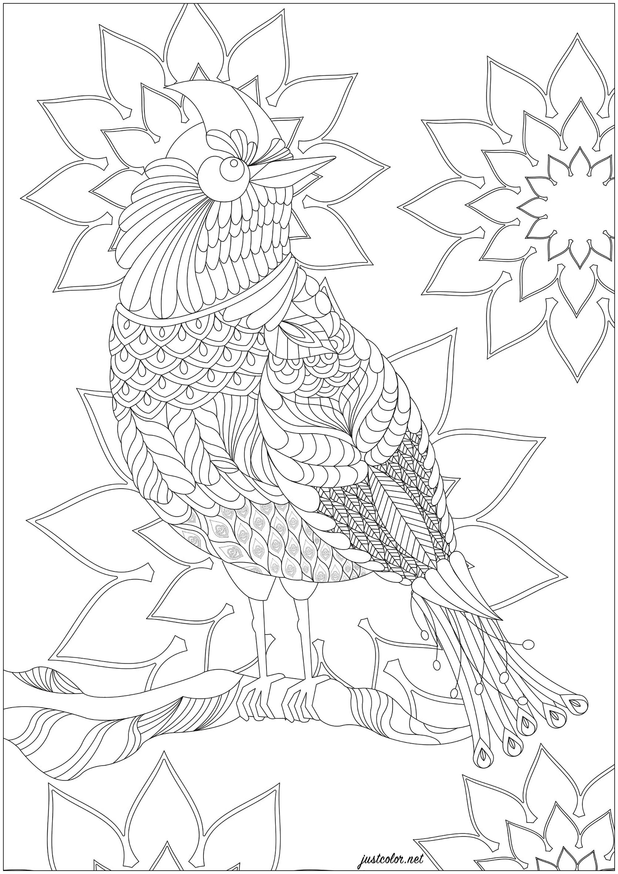 Imaginary bird, between the golden pheasant and the bird of paradise, with many patterns to color, Artist : Flora