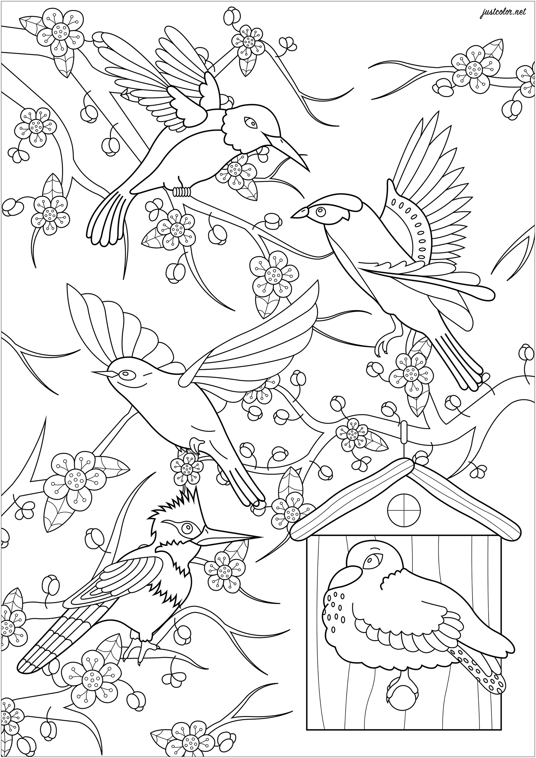 Color these five birds flying in front of a Japanese cherry tree, Artist : Lucie