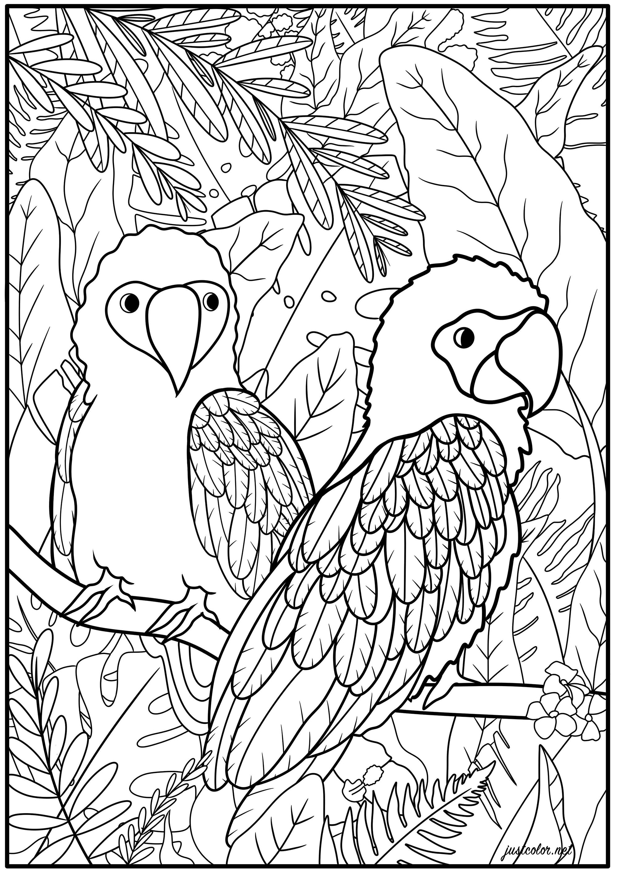 Two parrots in their natural habitat, consisting of exotic plants, Artist : Océane D