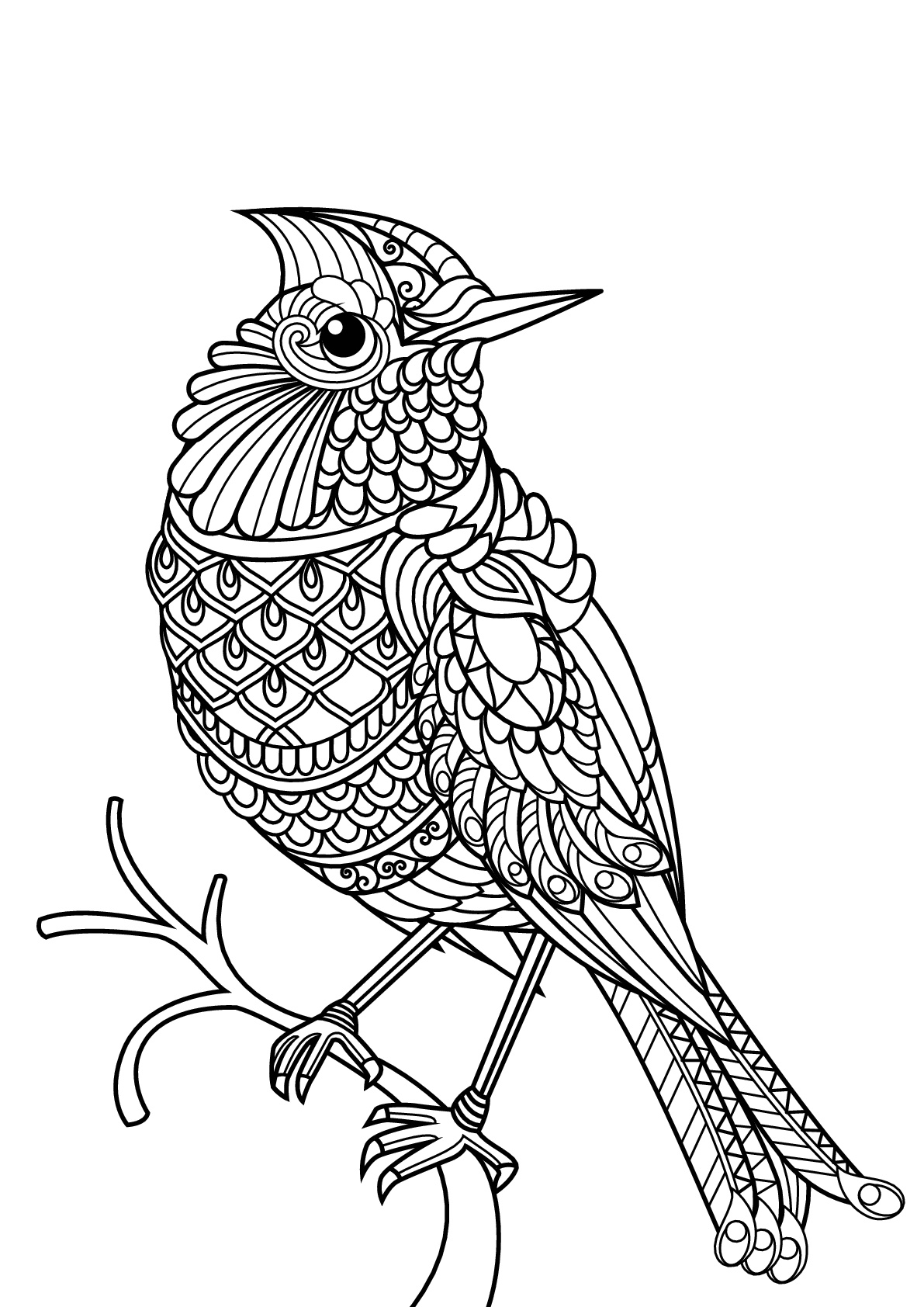 Download Free book bird - Birds Adult Coloring Pages