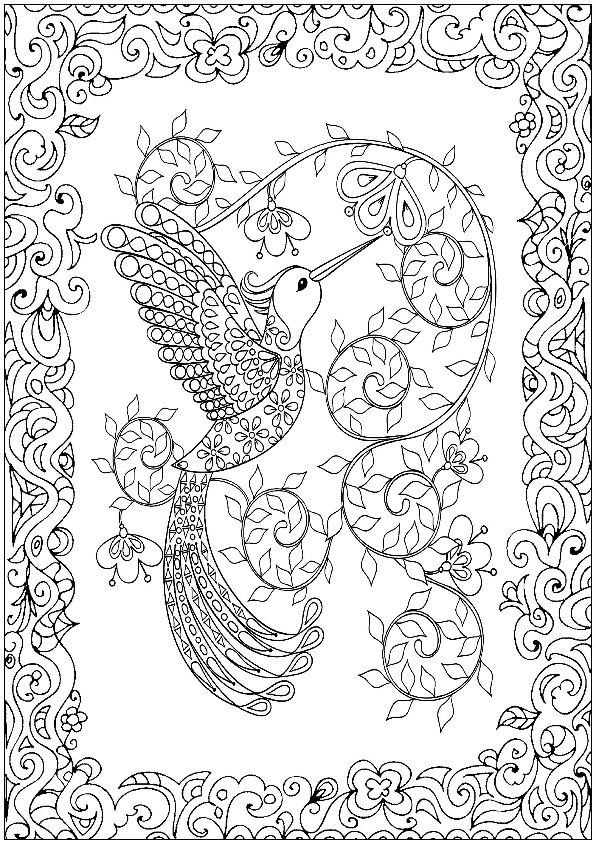 Humming bird, beautiful coloring page with border full of plant motifs to be colored, Artist : Art. Isabelle