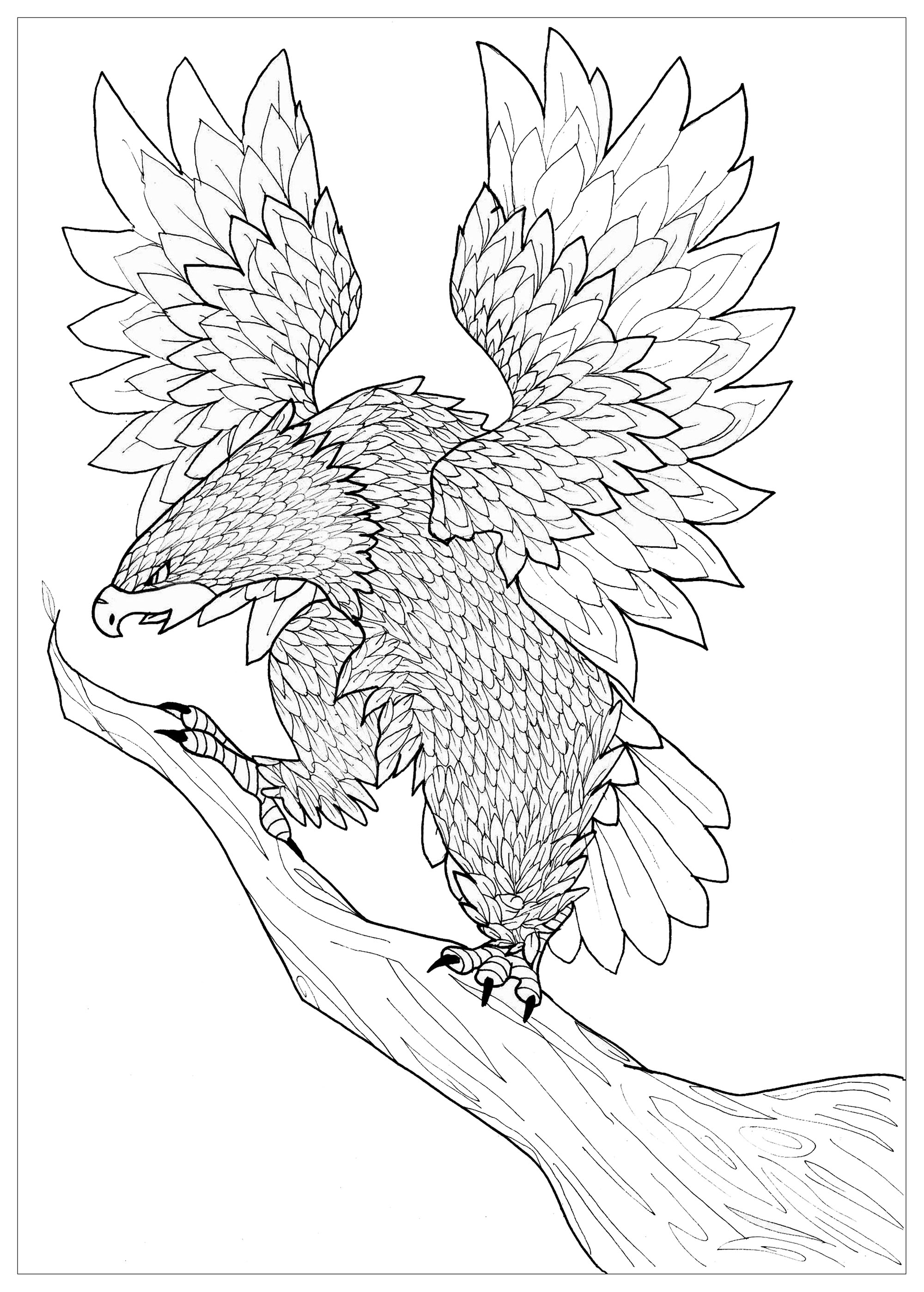 Download Eagle - Birds Adult Coloring Pages