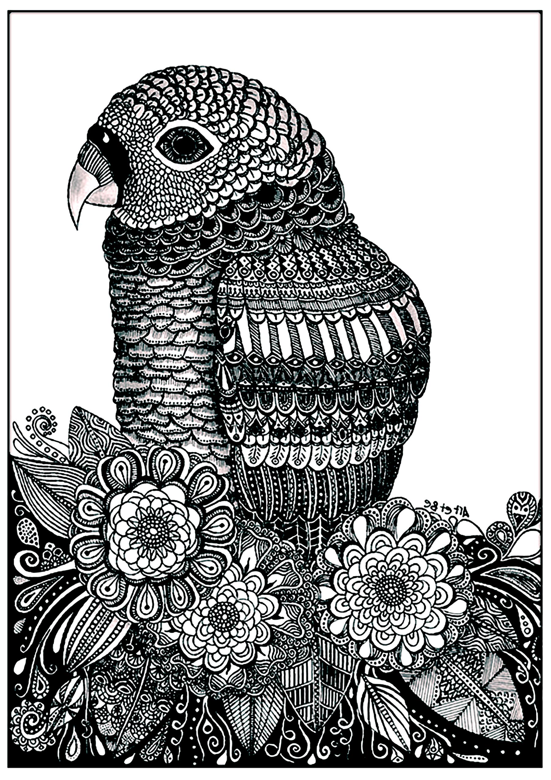Download Parrot flowers - Birds Adult Coloring Pages