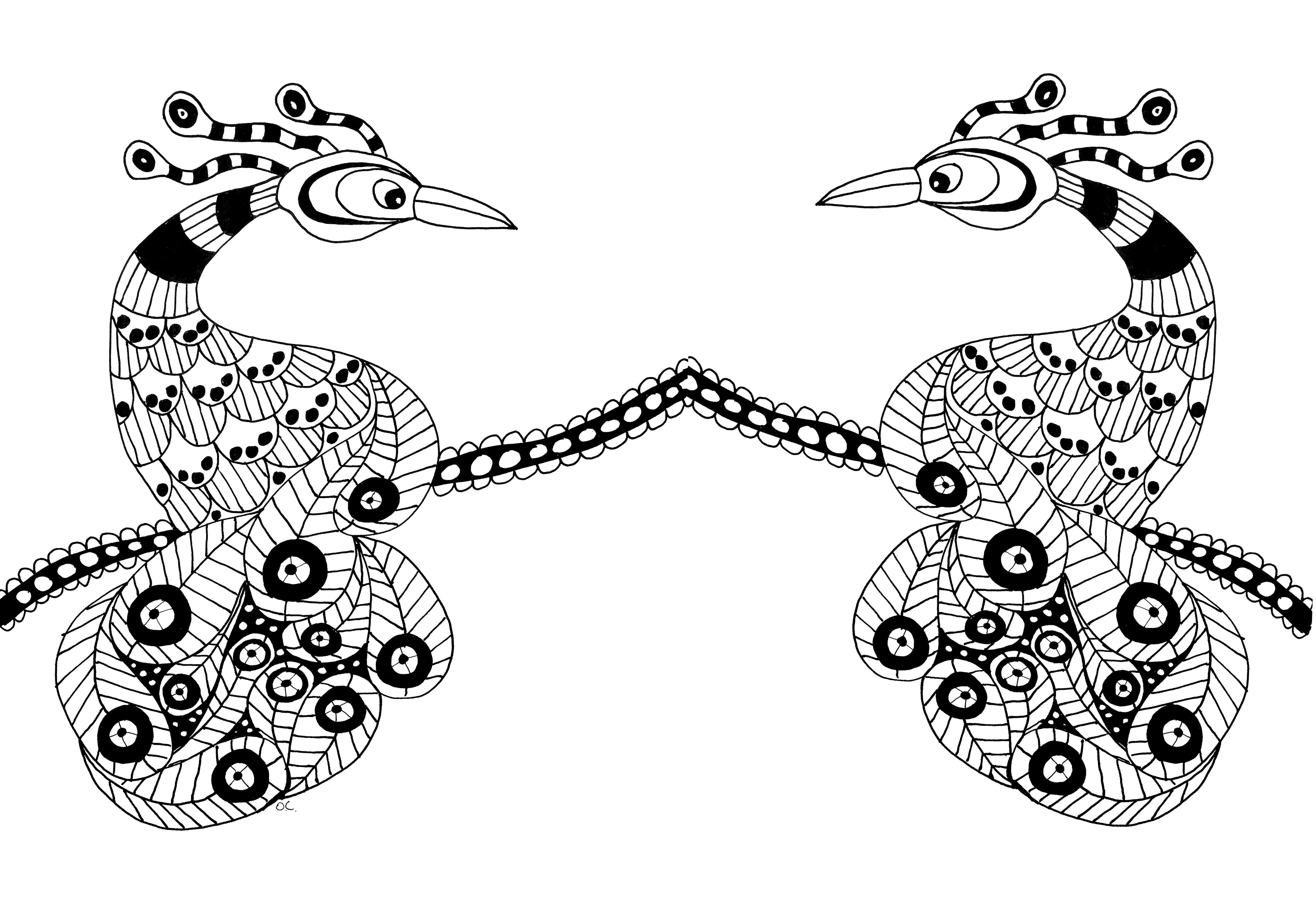 Two extroardinary birds, Artist : Olivier