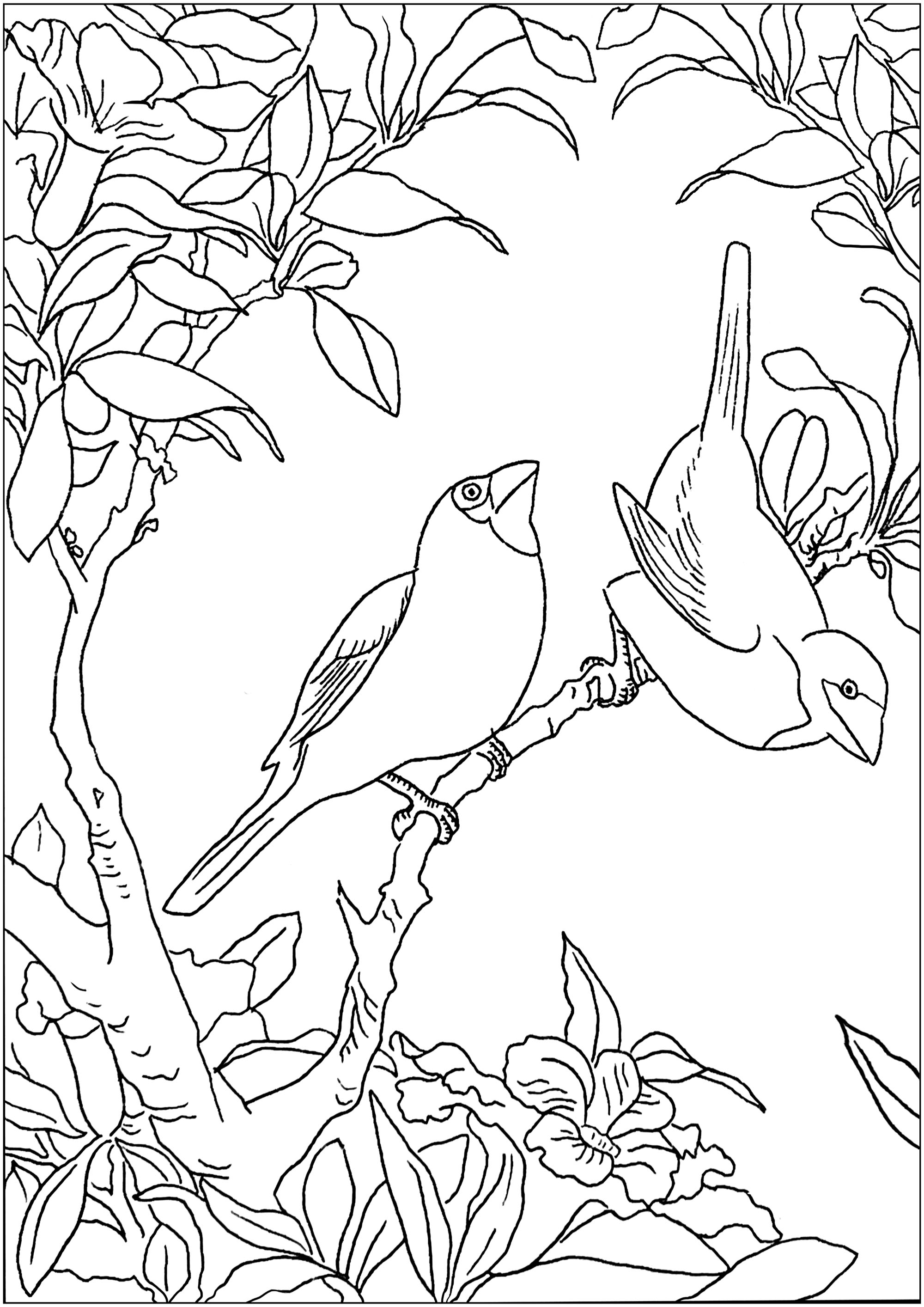 Two little birds on a branch, Artist : Art. Isabelle