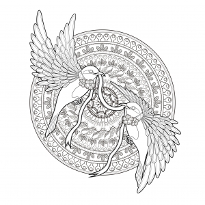 Two extaordinary birds - Birds Adult Coloring Pages