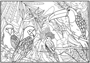 Download Adult Coloring Pages Download And Print For Free Just Color